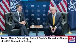 Трамп приостанавливает торговлю с Испанией: реакция Мадрида и возможные последствия для Гавара