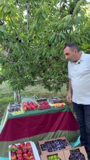 Первая партия армянских фруктов из Гегаркуника отправлена в ОАЭ
