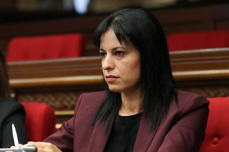 Член правления «Матери Армении» Арегназ Манукян задержана в Гаваре