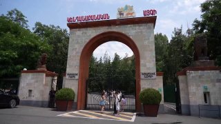 Хищники из особняка Гагика Царукяна в карантинной зоне Ереванского зоопарка